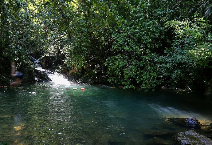 Phong Nha Botanical Garden is really under rated spot!