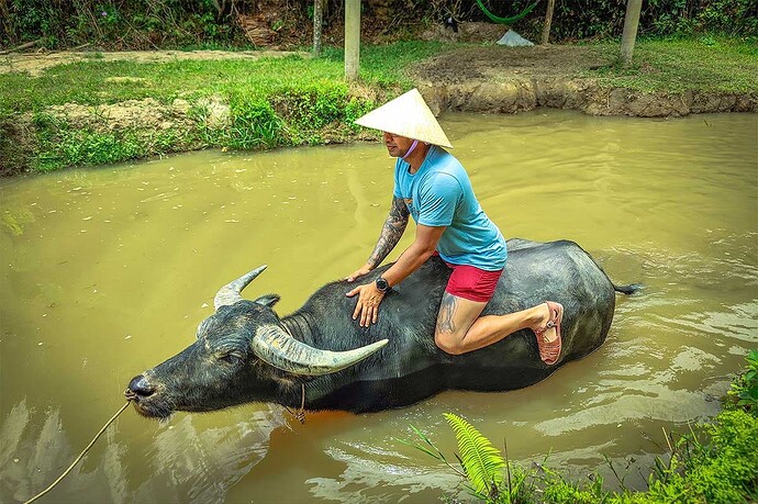 duck stop buffalo ride in phong nha
